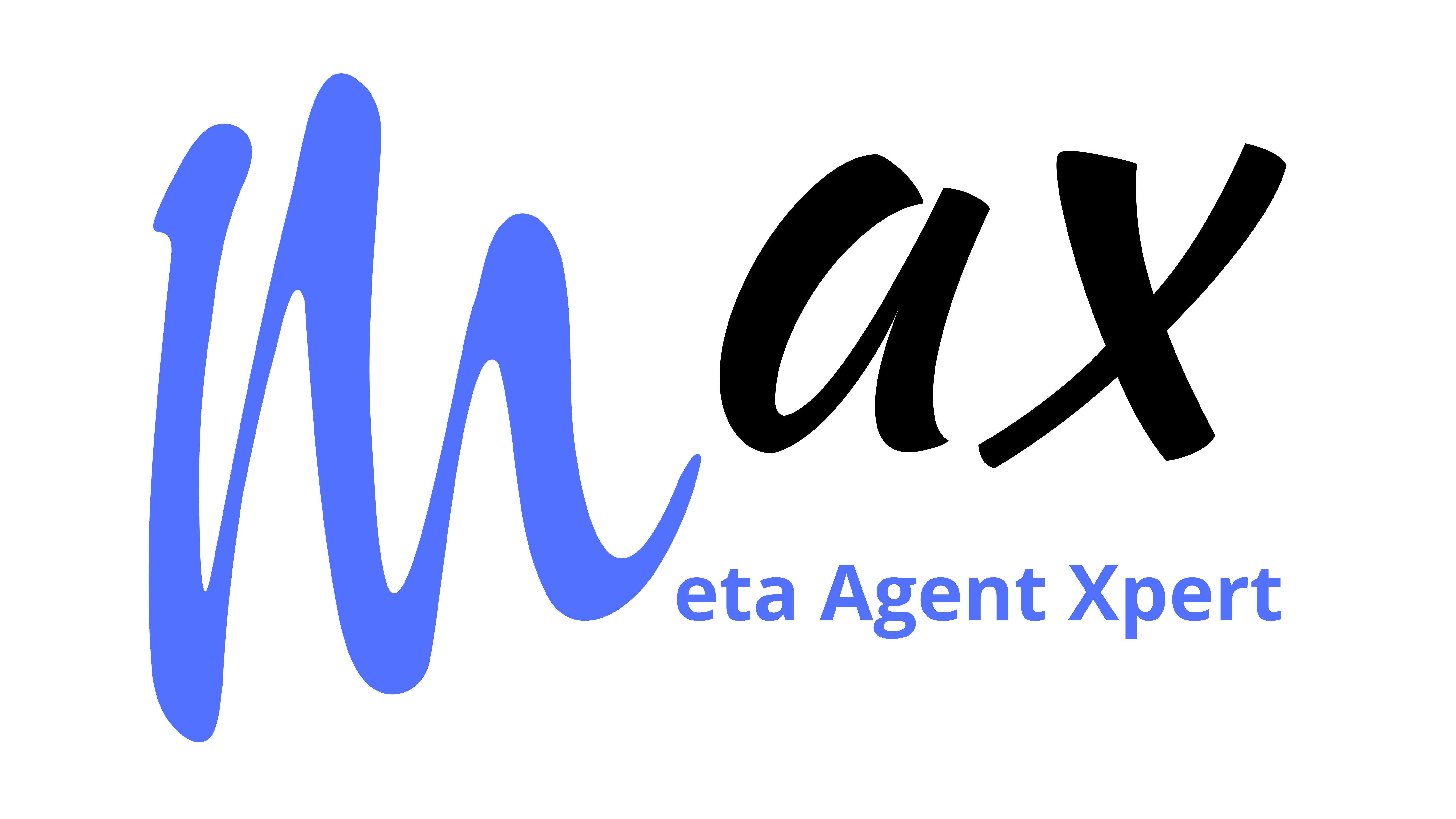 Max logo